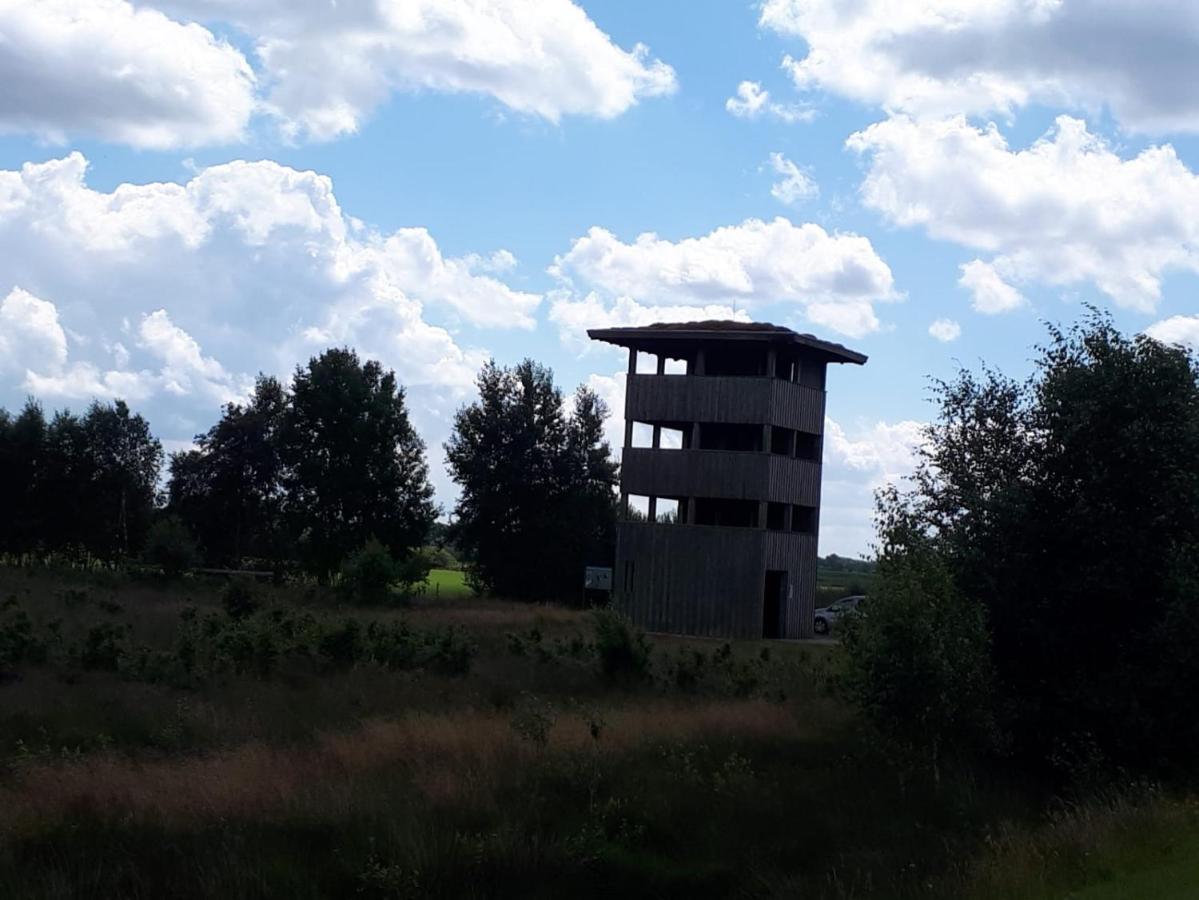 RehdenHaus Am Moor别墅 外观 照片